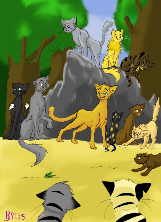 Племя коты фото Кто ты из Грозового племени - Трикки - тесты для девочек