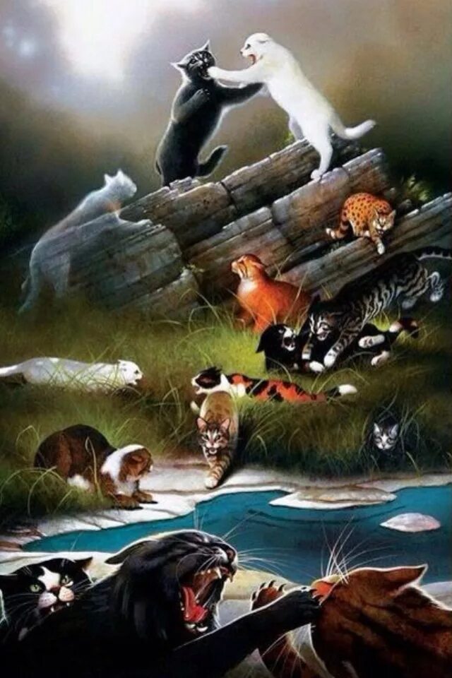 Племя коты фото Sunningrocks Warrior cats art, Warrior cats books, Warrior cats