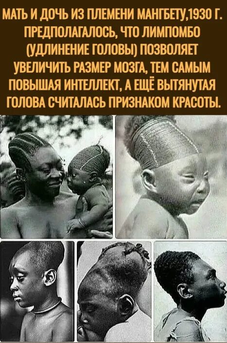 Племя мангбету удлинение черепа фото Не назвал бы это красивым, да и к интеллекту много вопросов 2023 ЗУБР ВКонтакте