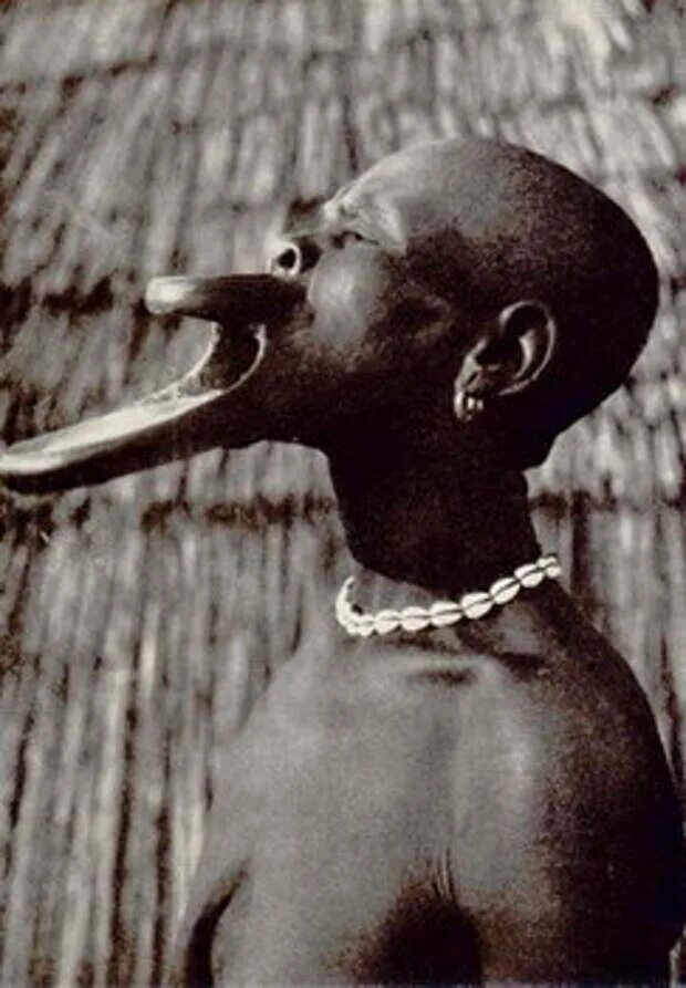 Племя мангбету удлинение черепа фото Бубалы племя фото мужчин: найдено 90 изображений