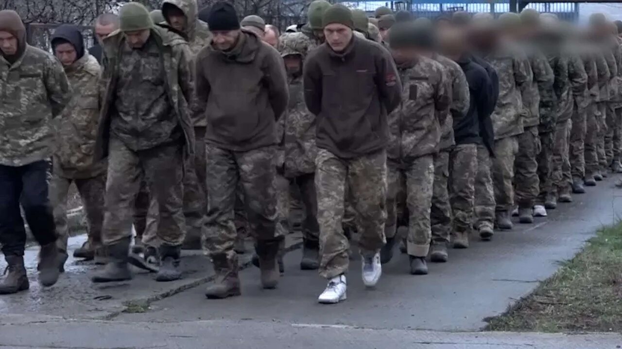Пленные русские на украине сегодня фото IMPEACH THIS YOUR CATS DID NOT WANT TO UTILIZE 2023 Украина VK