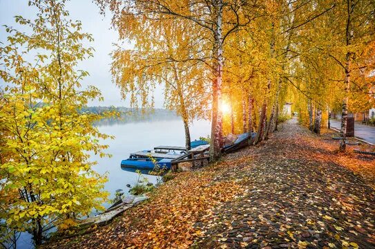Плес осенью фото Булыжная Изображения: просматривайте стоковые фотографии, векторные изображения 