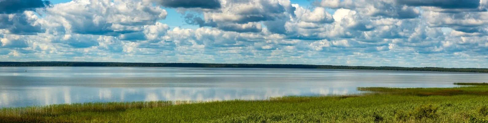 Плещеево озеро национальный парк фото Сайт национальный парк плещеево озеро