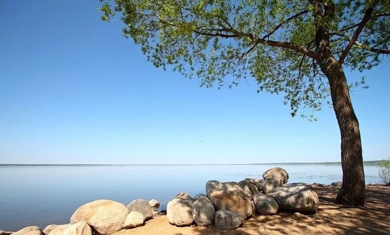 Плещеево озеро переславль фото пляжа Продажа дома коттеджный поселок Сосновый Бор, цена 3300000 рублей, 2024 год объя
