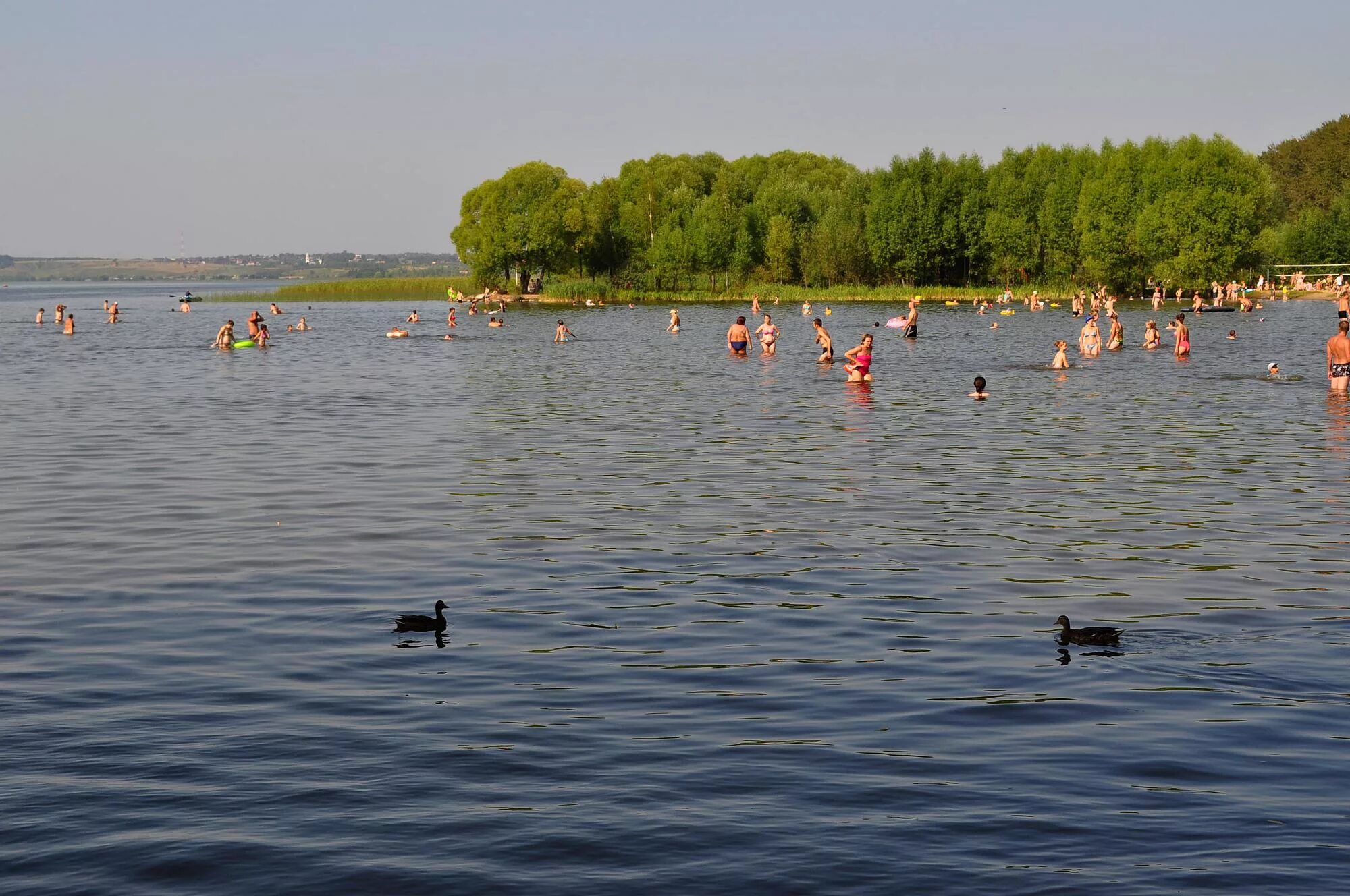 Плещеево озеро пляжи фото У берега Плещеева - фото автора GT на сайте Сергиев.ru