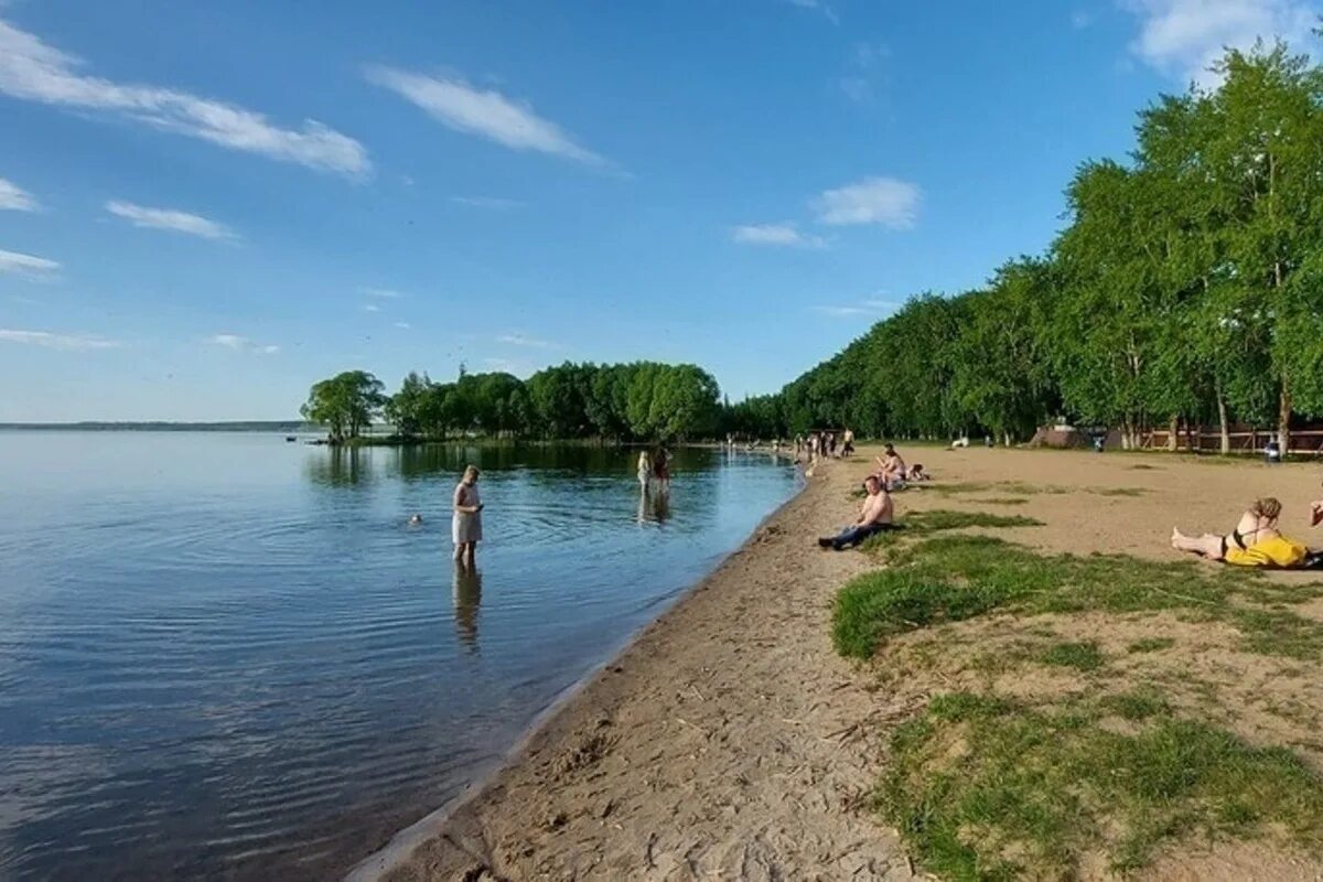 Плещеево озеро пляжи фото В Плещеевом озере запретили купаться - МК Ярославль