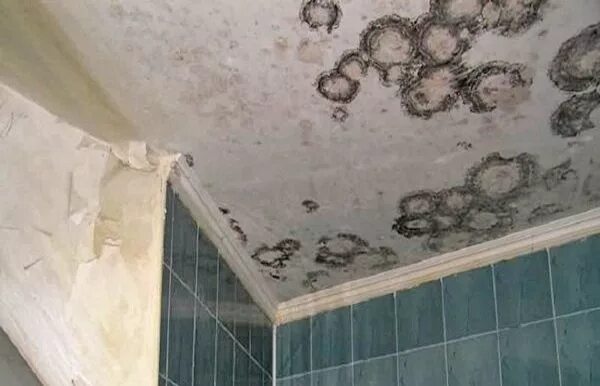 Плесень в ванне фото Эффективные методы борьбы с плесенью в ванной комнате Плесень в ванной, Дом, Рем