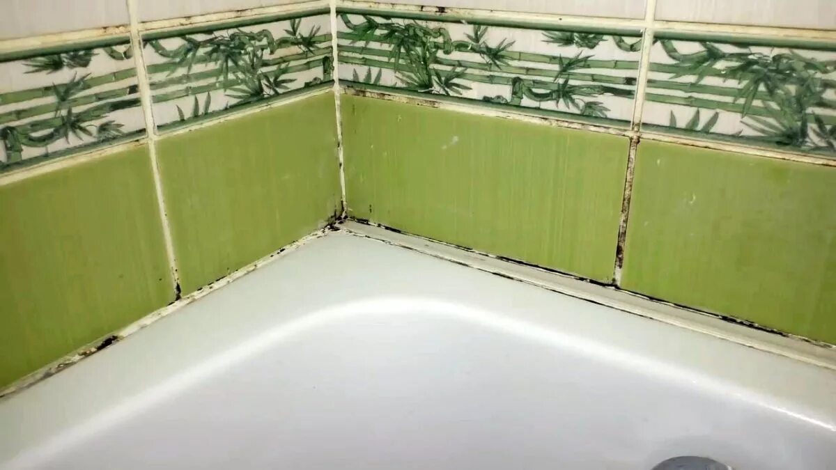 Плесень в ванне фото Удаление плесени из ванной комнаты. Убрать черную плесень. - ОкнаПомощь