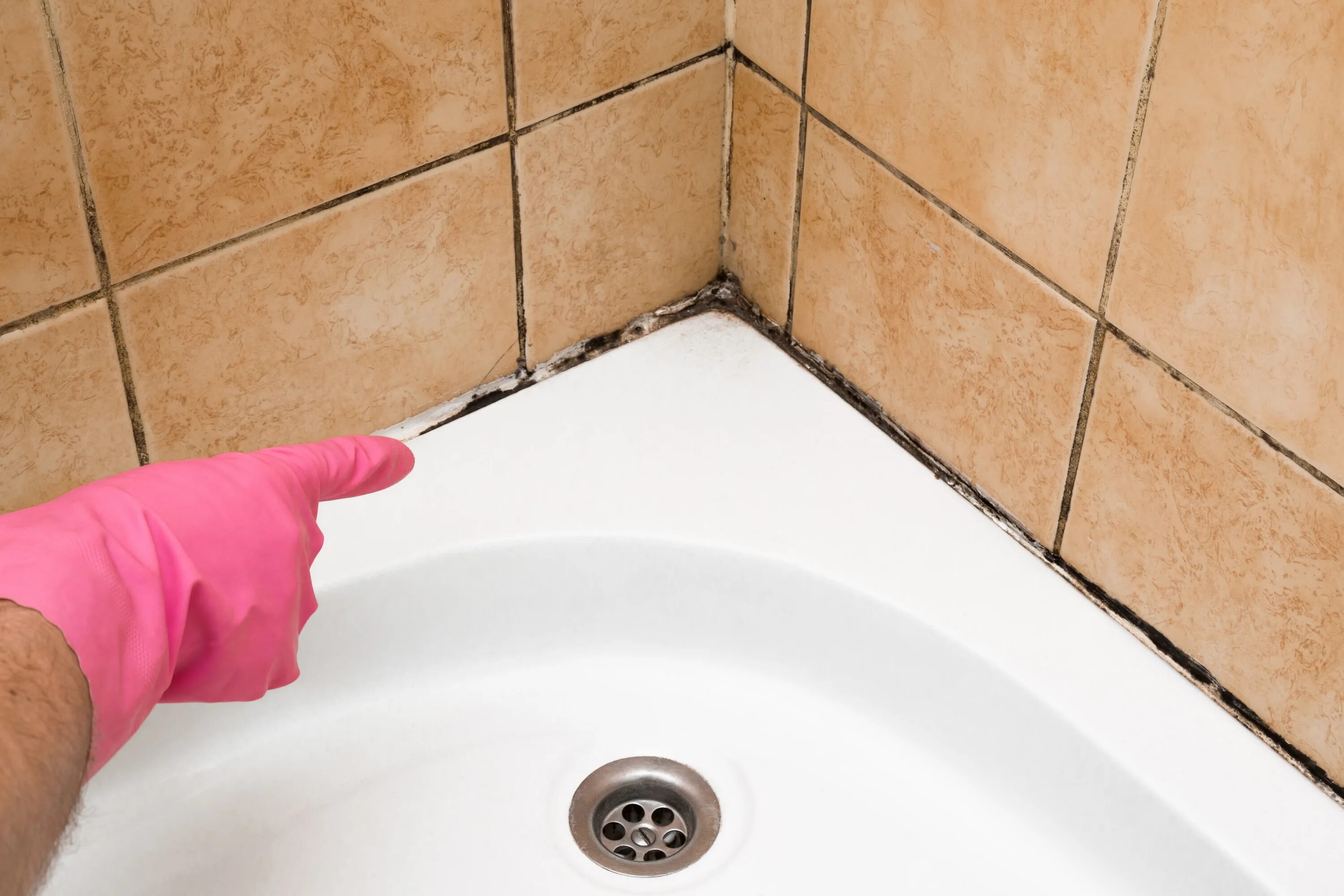 Плесень в ванной фото Black Mould on Walls - Causes, Symptoms, Prevention & Treatment