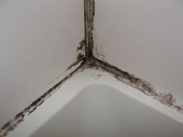 Плесень в ванной фото Moldy caulk in shower close-up Diy cleaning products, Cleaning hacks, House clea
