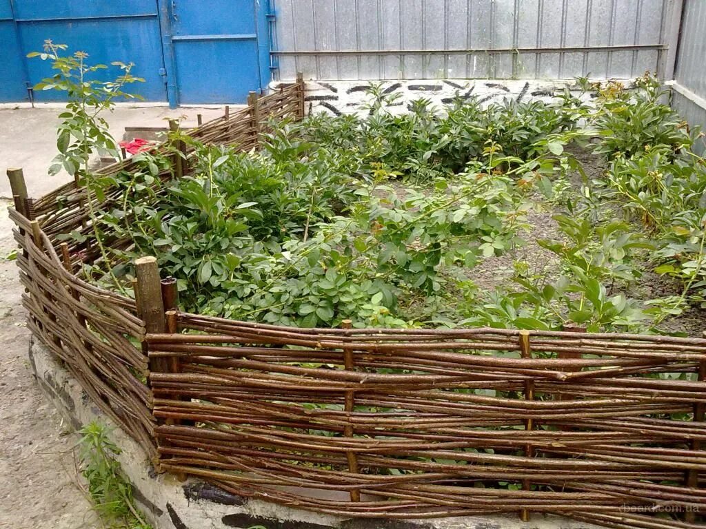 Плетень своими руками для дачи Как сделать плетень на даче своими руками Garden fencing, Diy garden fence, Gard