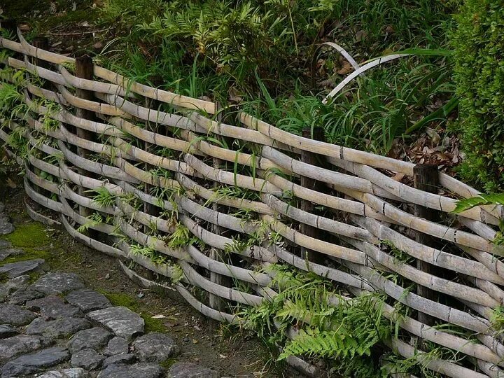 Плетень своими руками для дачи из веток wattle fence Bamboo garden fences, Bamboo fence, Bamboo garden