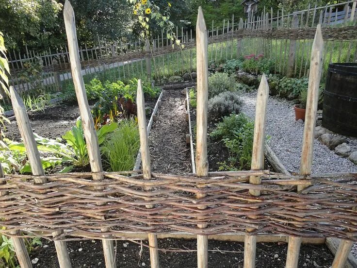 Плетень своими руками для дачи из веток Herb Gardening Posts #herbgrowingstand Plants, Rustic garden fence, Planting her