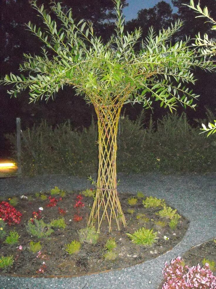 Плетеная ива фото в ландшафтном CARLIÑOS CESTEIRO: CESTERIA VIVA, VALLADOS, ARBOLITOS, ETC... Topiary plants, Ga