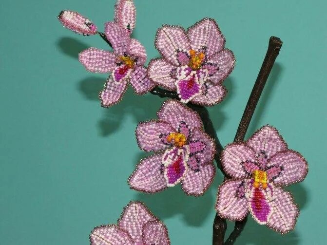 Плетение из бисера орхидеи фото Орхидея из бисера: схема, орхидея из бисера видео, как сделать орхидею из бисера