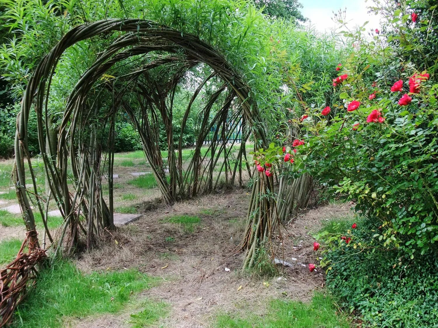 Плетеные деревья в ландшафтном дизайне фото Willow Willow garden, Garden structures, Living willow