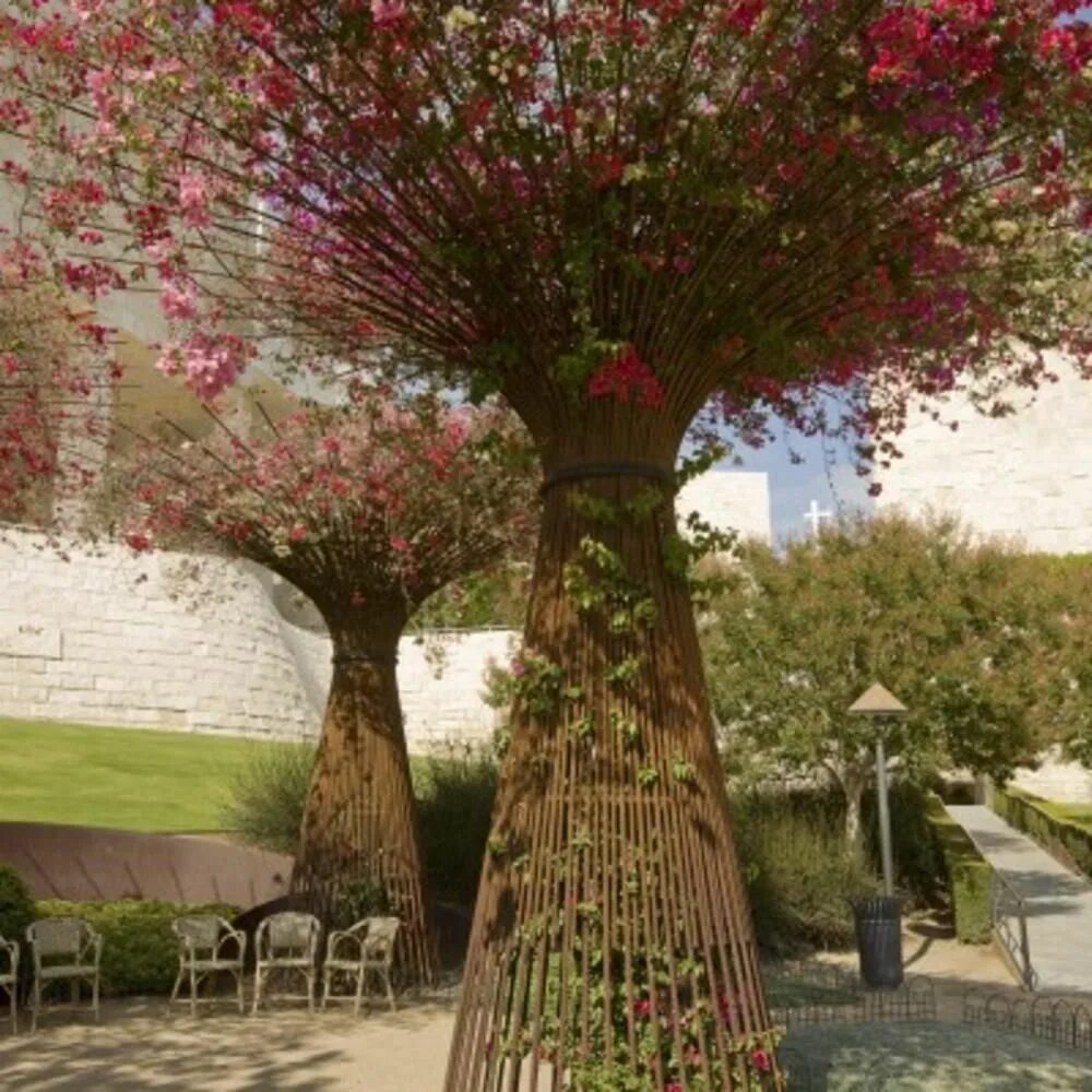 Плетеные деревья в ландшафтном дизайне фото How Western artists do gardening Public garden, Landscape design, Garden design