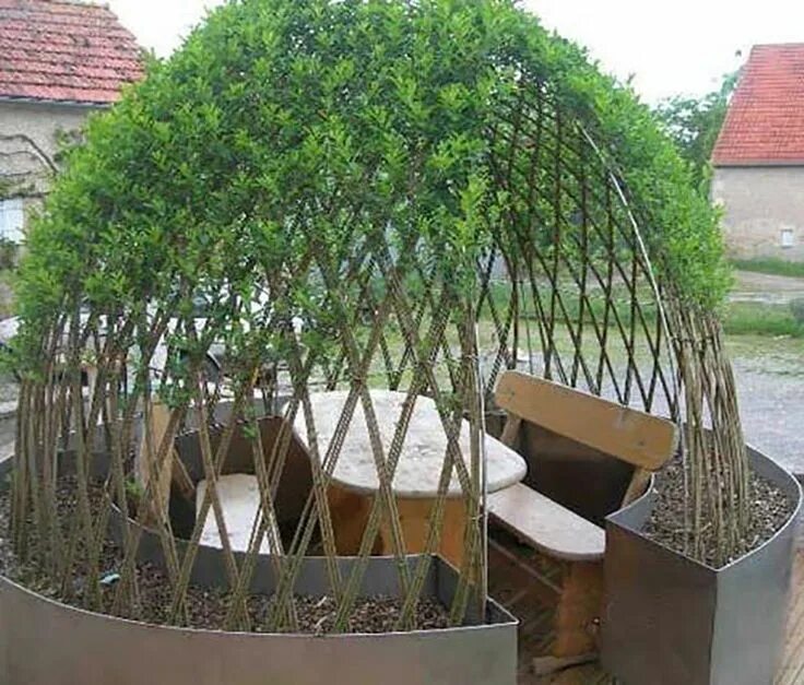Плетеные деревья в ландшафтном дизайне фото плетение изгороди из ивы Garden structures, Urban garden, Garden planning