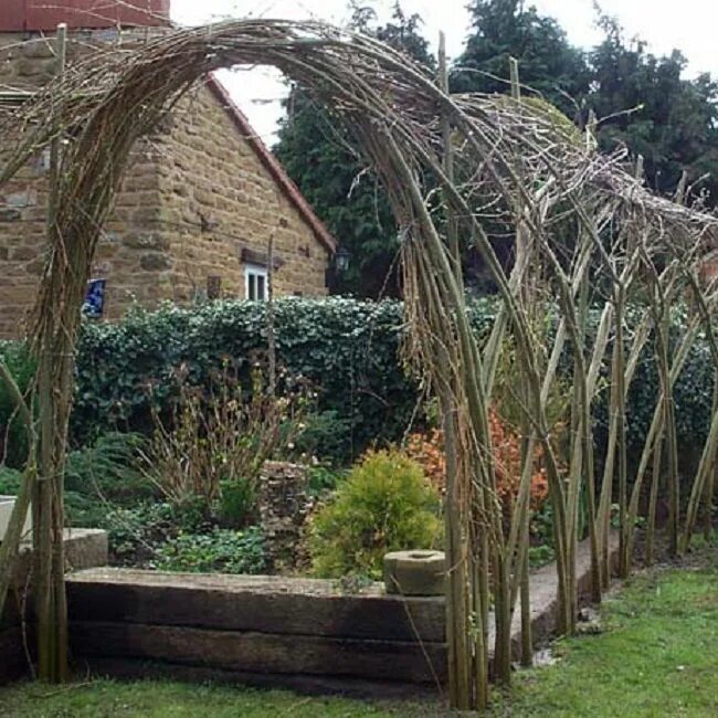 Плетеные деревья в ландшафтном дизайне фото Lovely willow woven arches in the vege garden Willow garden, Garden arches, Gard