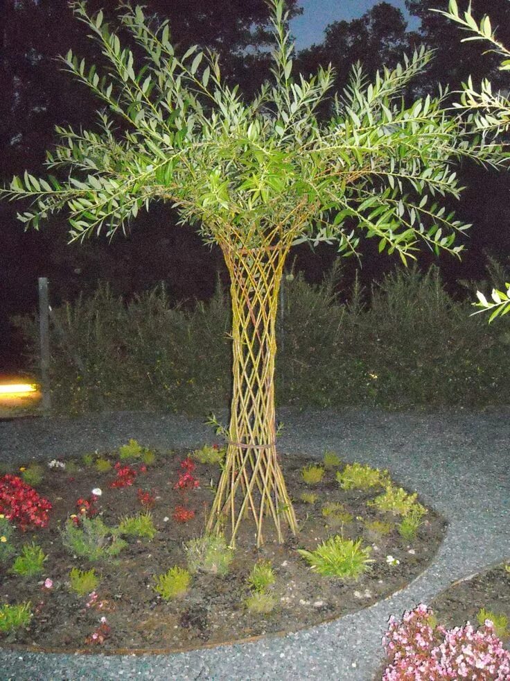 Плетеные ивы в ландшафтном дизайне фото CARLIÑOS CESTEIRO: CESTERIA VIVA, VALLADOS, ARBOLITOS, ETC... Garden projects, T