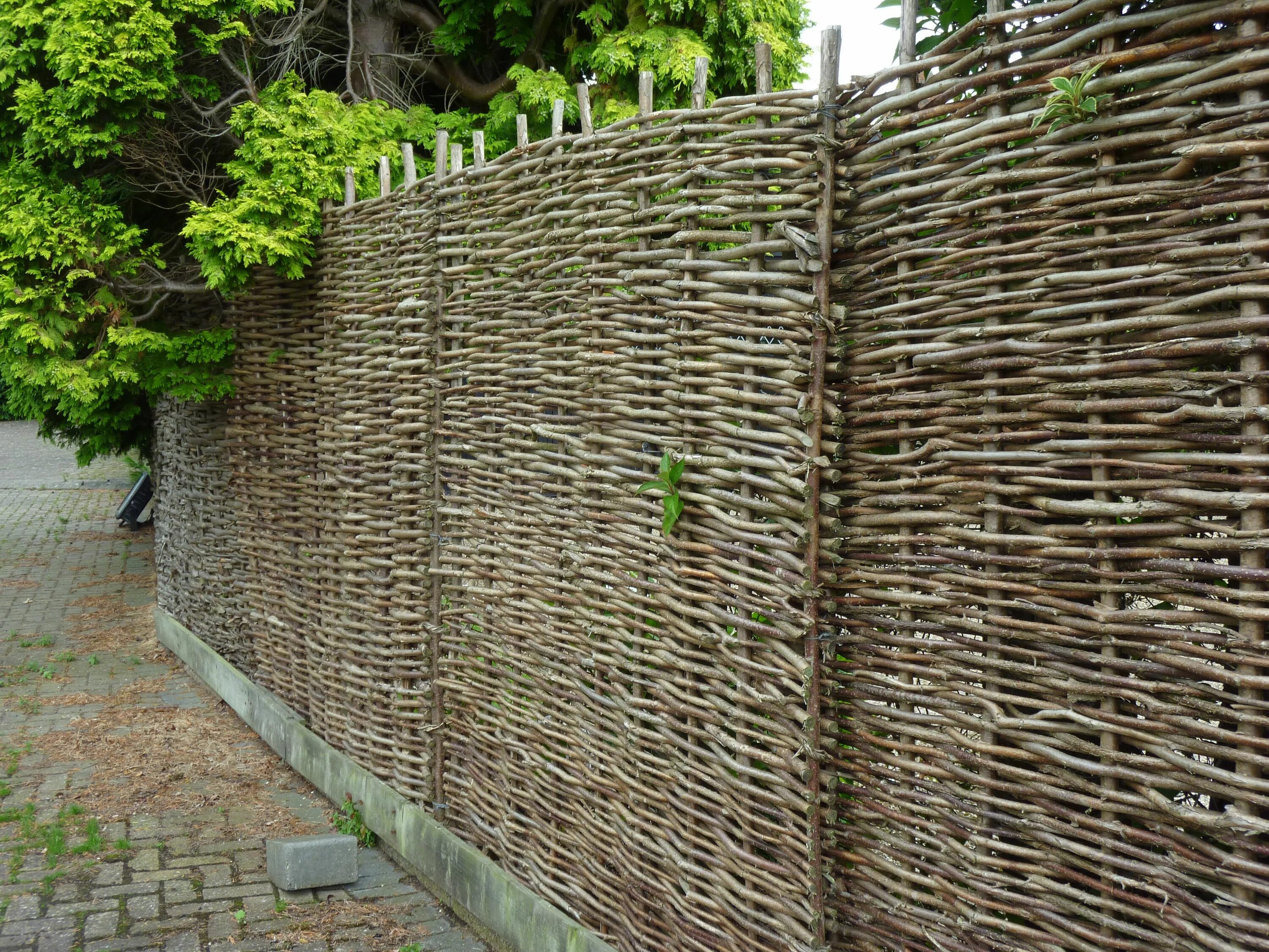 Плетеный забор из веток фото Willow Fence . Walk to Hever Castle Landscape projects, Willow fence, Garden des