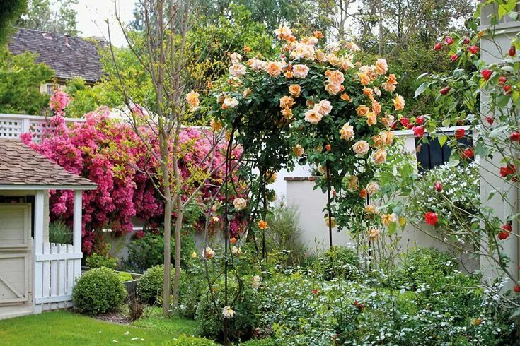 Плетистая роза на даче фото Как спланировать идеальный сад: 5 главных правил - INMYROOM Rose garden design, 