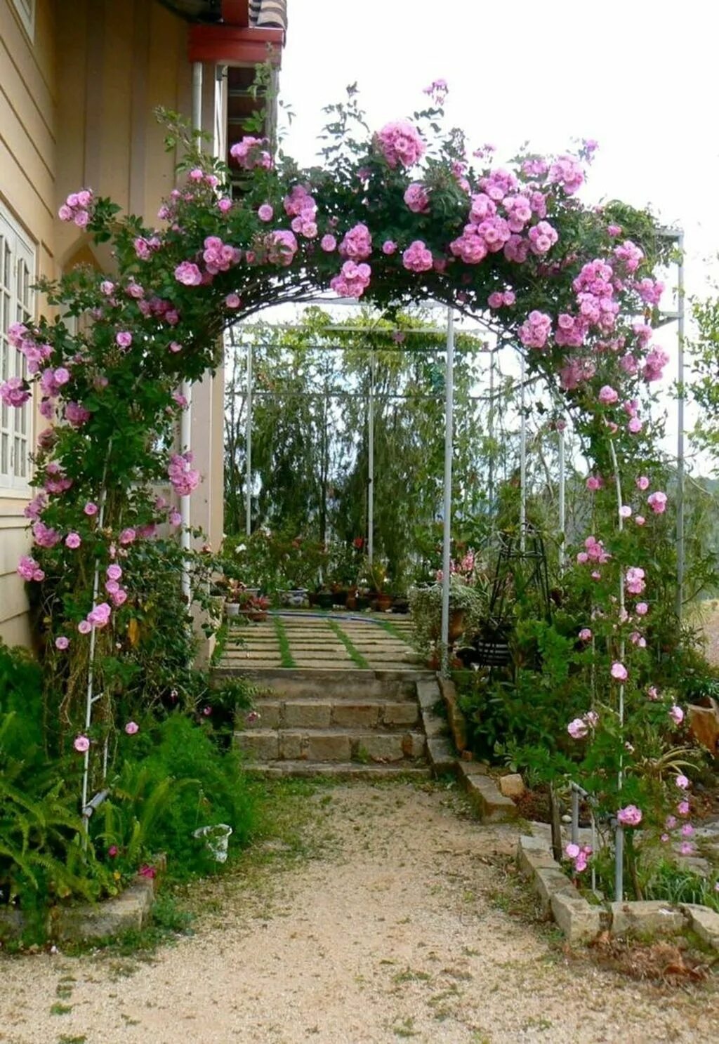 Плетистая роза оформление участка фото 35 Beautiful Rose Garden Ideas Rose garden design, Garden arch, Vegetable garden