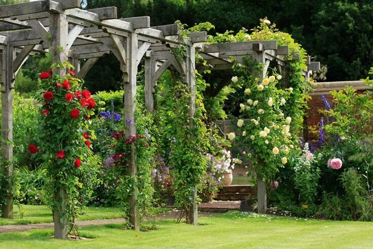 Плетистая роза у беседки фото Dawnedge Lodge, Bedfordshire Garden spaces, Beautiful gardens, Garden structures