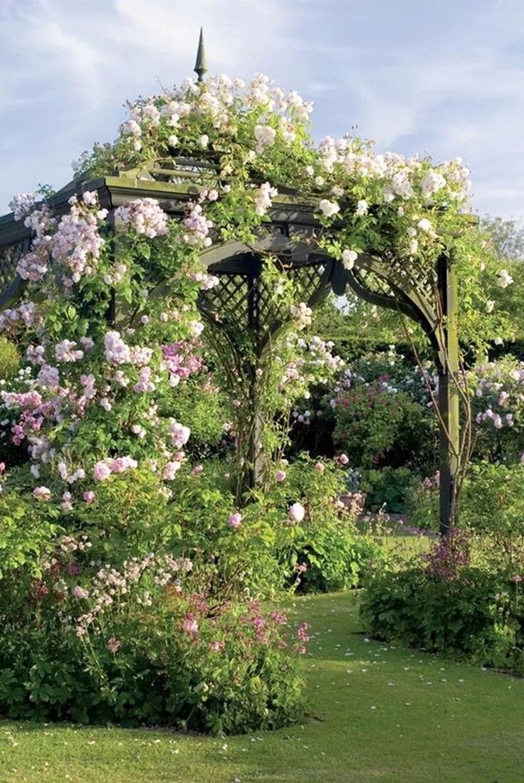 Плетистая роза у беседки фото Flower Love Garden gazebo, Garden inspiration, Beautiful gardens