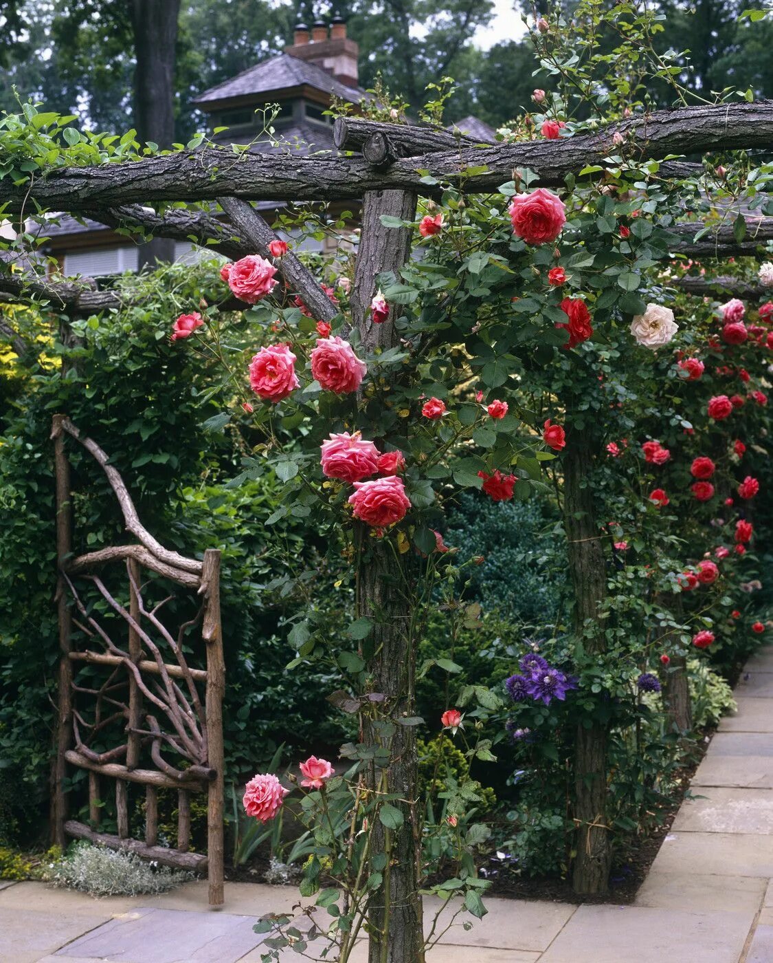 Плетистая роза у беседки фото Country Garden Photos (54 of 173) - Lonny Garden inspiration, Beautiful gardens,