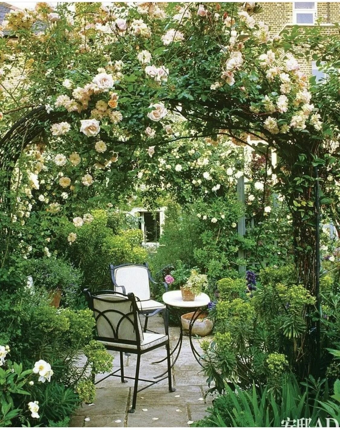 Плетистая роза у беседки фото Pin on Garden Small courtyard gardens, Cottage garden, Garden inspiration