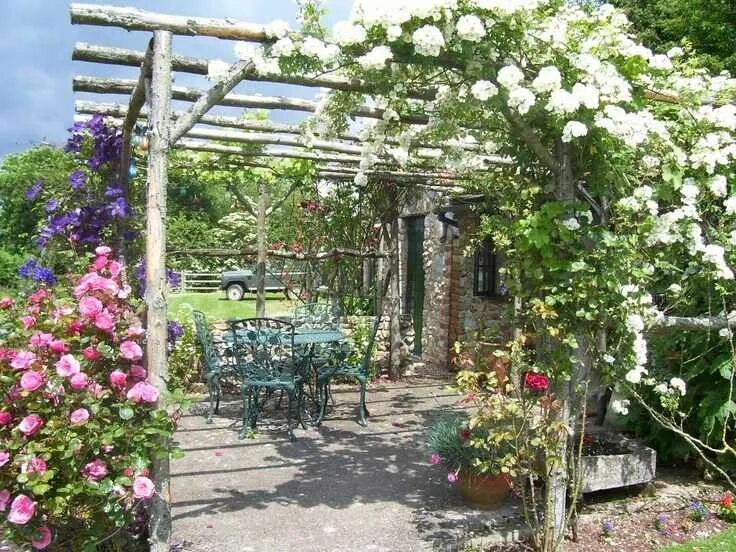 Плетистая роза у беседки фото Plantes grimpantes pour pergola - 20 idées romantiques Plans de pergola, Patio p