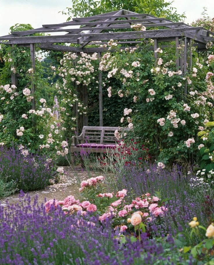 Плетистая роза у беседки фото Les rosiers grimpants, rosier décoratif - Roseraie Guillot Rosier grimpant, Idée