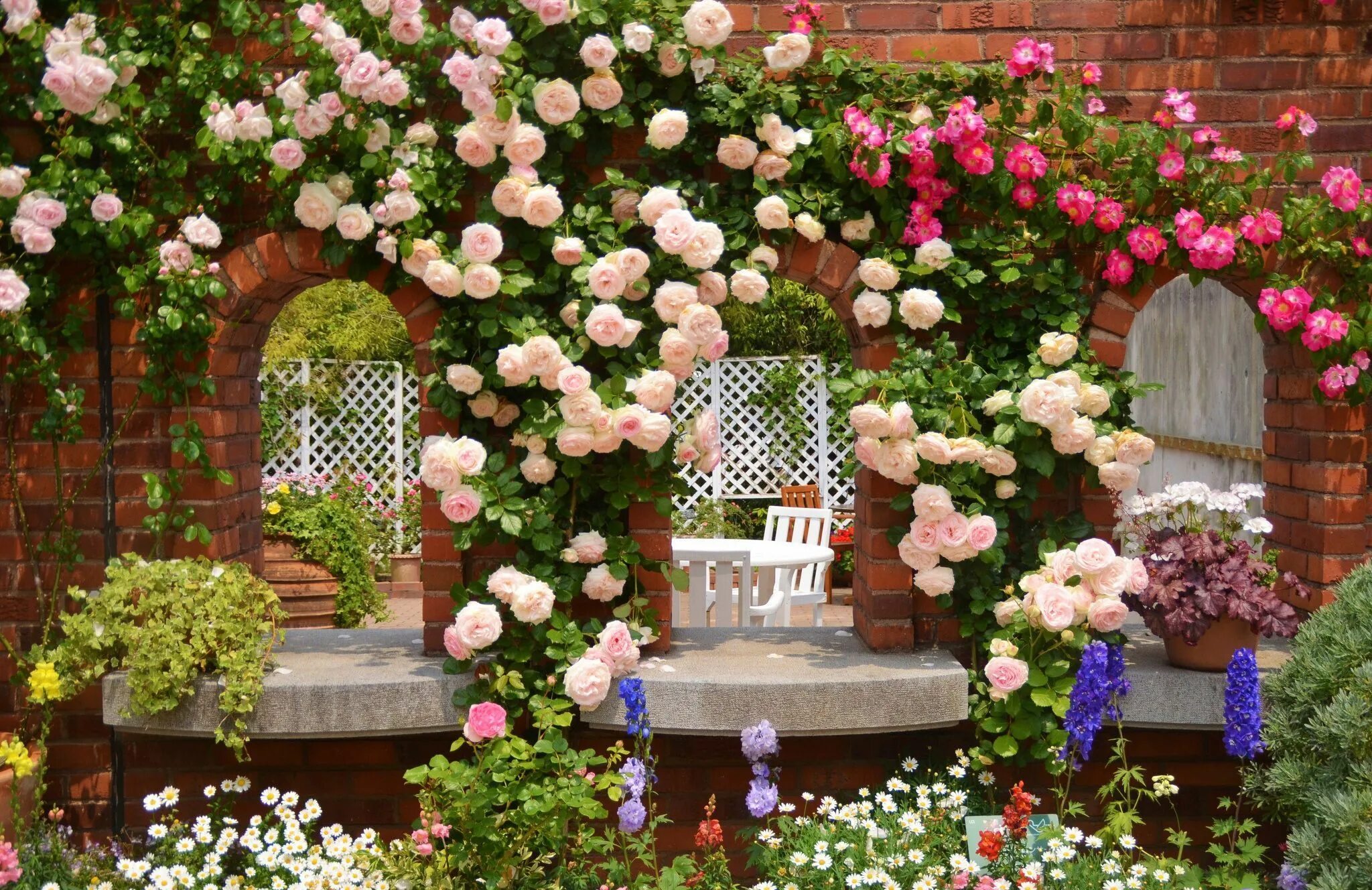 Плетистая роза в саду фото оформление Image result for garden high resolution pictures Cultivo de rosas, Jardín de ros