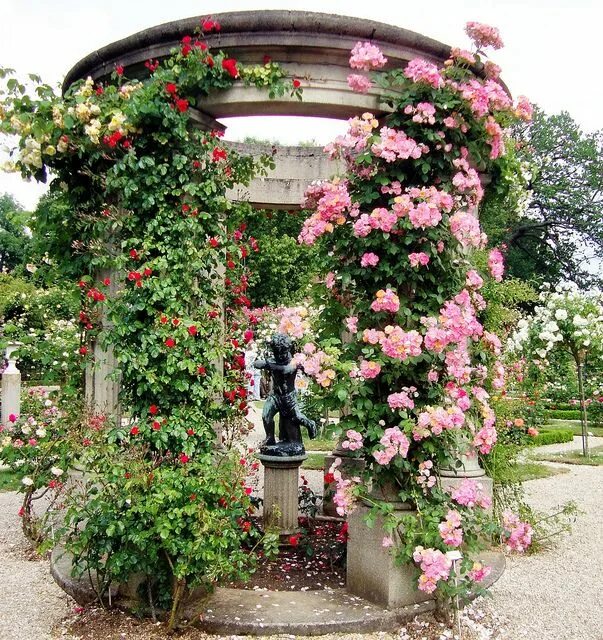 Плетистая роза в саду фото оформление Roseraie de l'Hay-Les-Roses Outdoor gardens, Gardens of the world, Hummingbird g