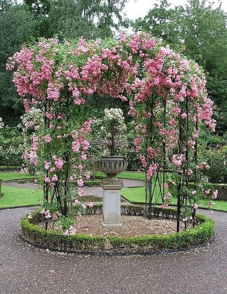 Плетистые розы в ландшафтном дизайне 20+ Amazing Rose Garden Design Ideas Garten, Pflanzen, Bepflanzung