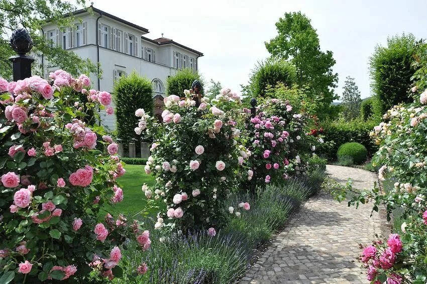 Плетистые розы в ландшафтном дизайне дачного villengarten-mit-rosenranksaeulen 6 Gartenspaliere, Garten, Pflanzen