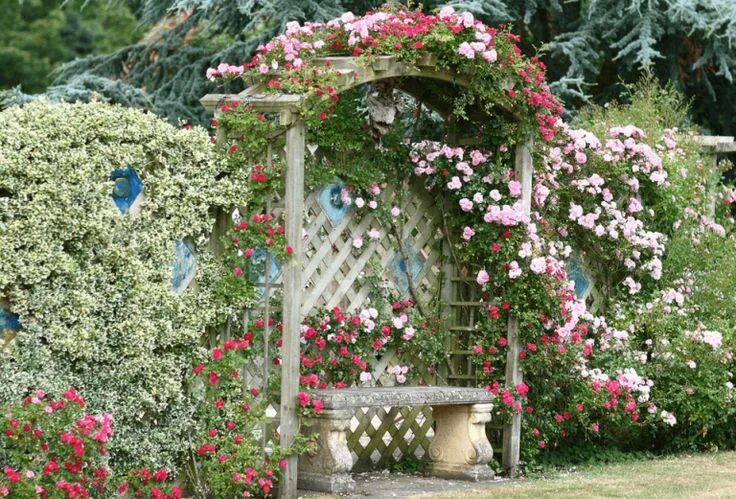Плетистые розы в ландшафтном дизайне дачного Decorare il giardino in modo creativo con delle piantine sospese: 12 idee bellis