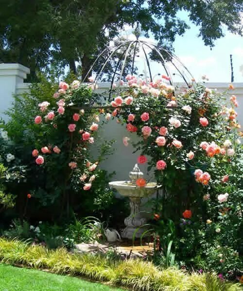 Плетистые розы в ландшафтном дизайне дачного Ideas for landscaping with roses SA Garden and Home Rose garden design, Landscap