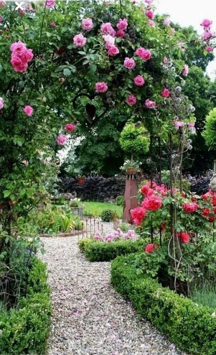Плетистые розы в ландшафтном дизайне дачного участка Pin on Landscaping Country garden design, Cottage garden design, Cottage garden
