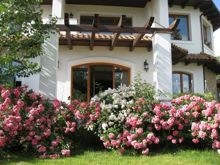 Плетистые розы в ландшафтном дизайне дачного участка aménagement-petit-jardin-géraniums-flerus-roses-blanches Jardins, Petit jardin, 