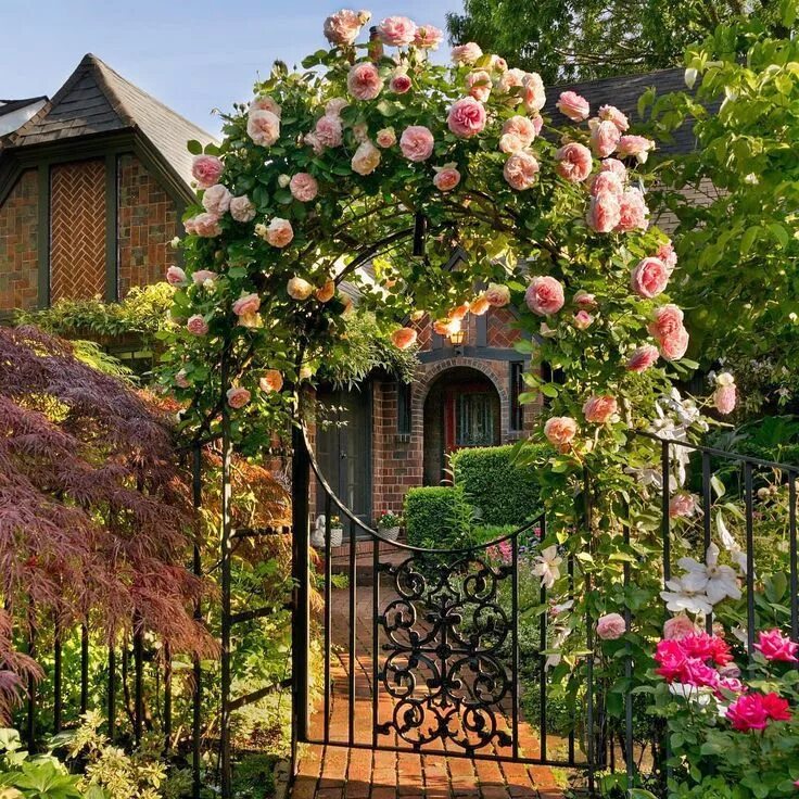 Плетистые розы в ландшафтном дизайне фото оформление CountryHomeMagazine on Instagram: "Long summer days might be behind us but this 