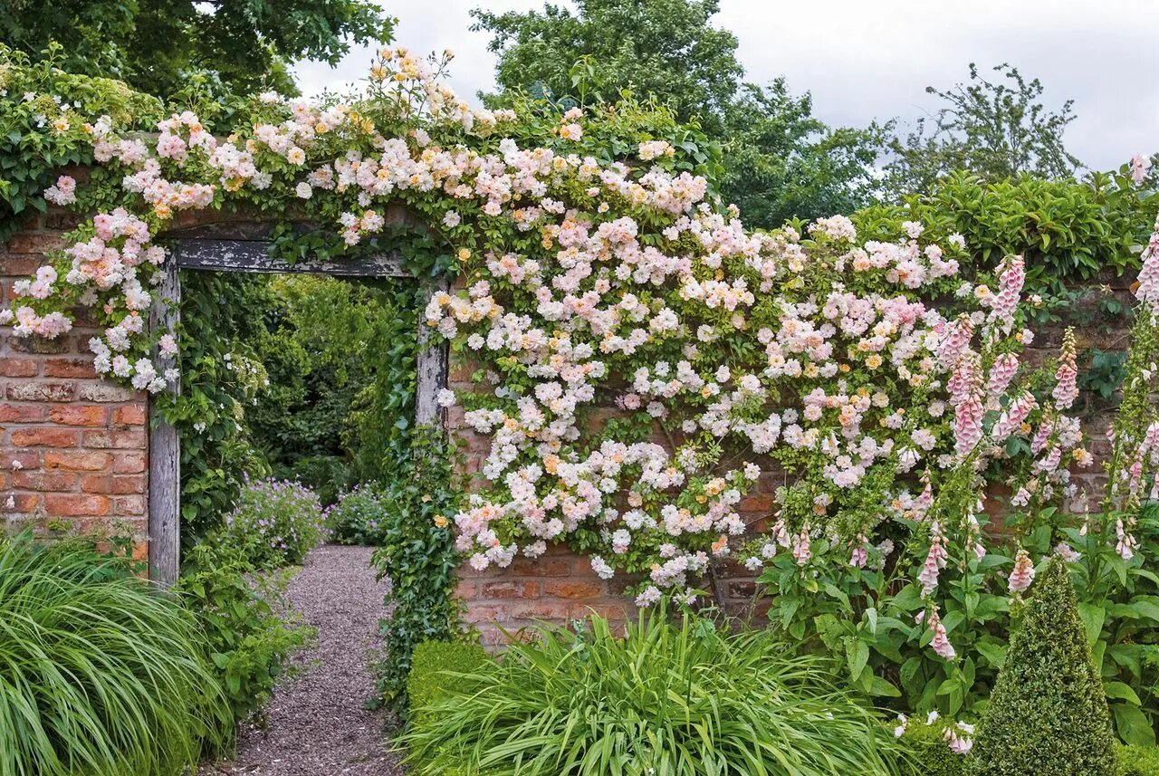 Плетистые розы в ландшафтном дизайне фото оформление Rose garden ideas: 14 rose gardens to inspire