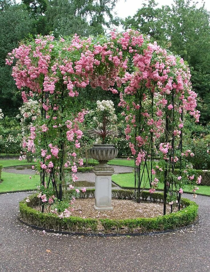 Плетистые розы в ландшафтном дизайне фото оформление Rose Gazebo Rose garden design, Beautiful gardens, Amazing gardens