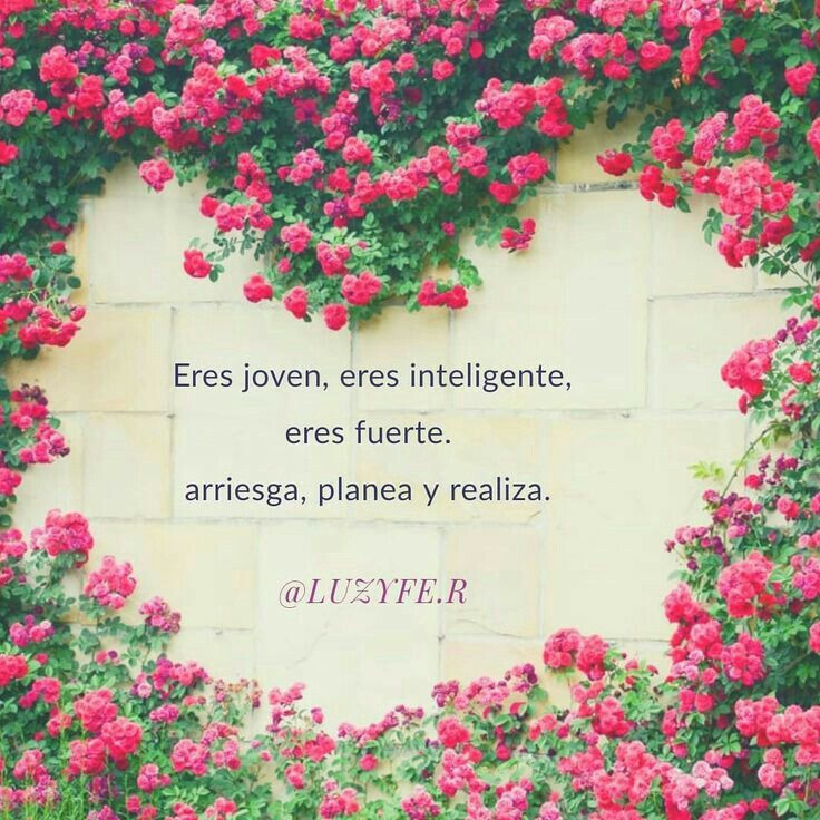 Плетистые розы забор фото Pin by Doris :3 on frases lindas Peppercorn, Red peppercorn
