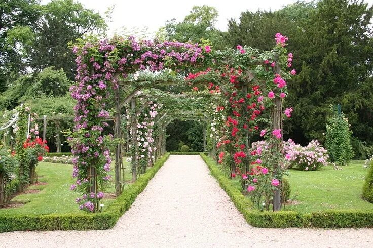 Плетущие розы в ландшафтном дизайне фото Garden arches, Parterre garden, Garden gate design