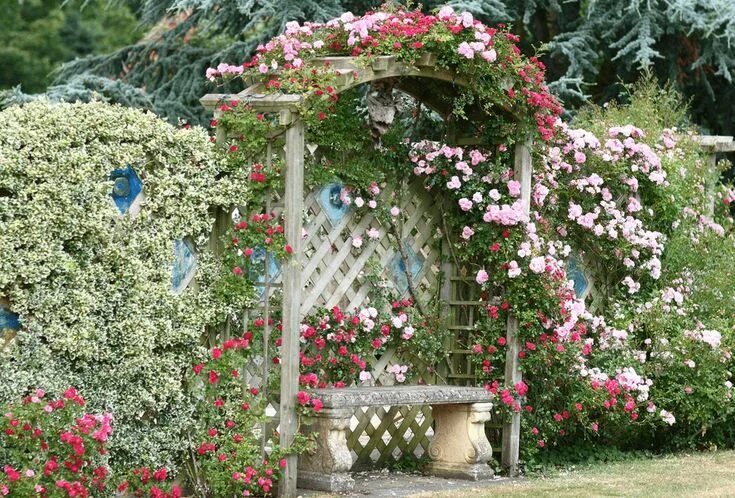 Плетущие розы в ландшафтном дизайне фото 46 Cottage Garden Ideas for a Blissful Yard Small cottage garden ideas, Rose gar