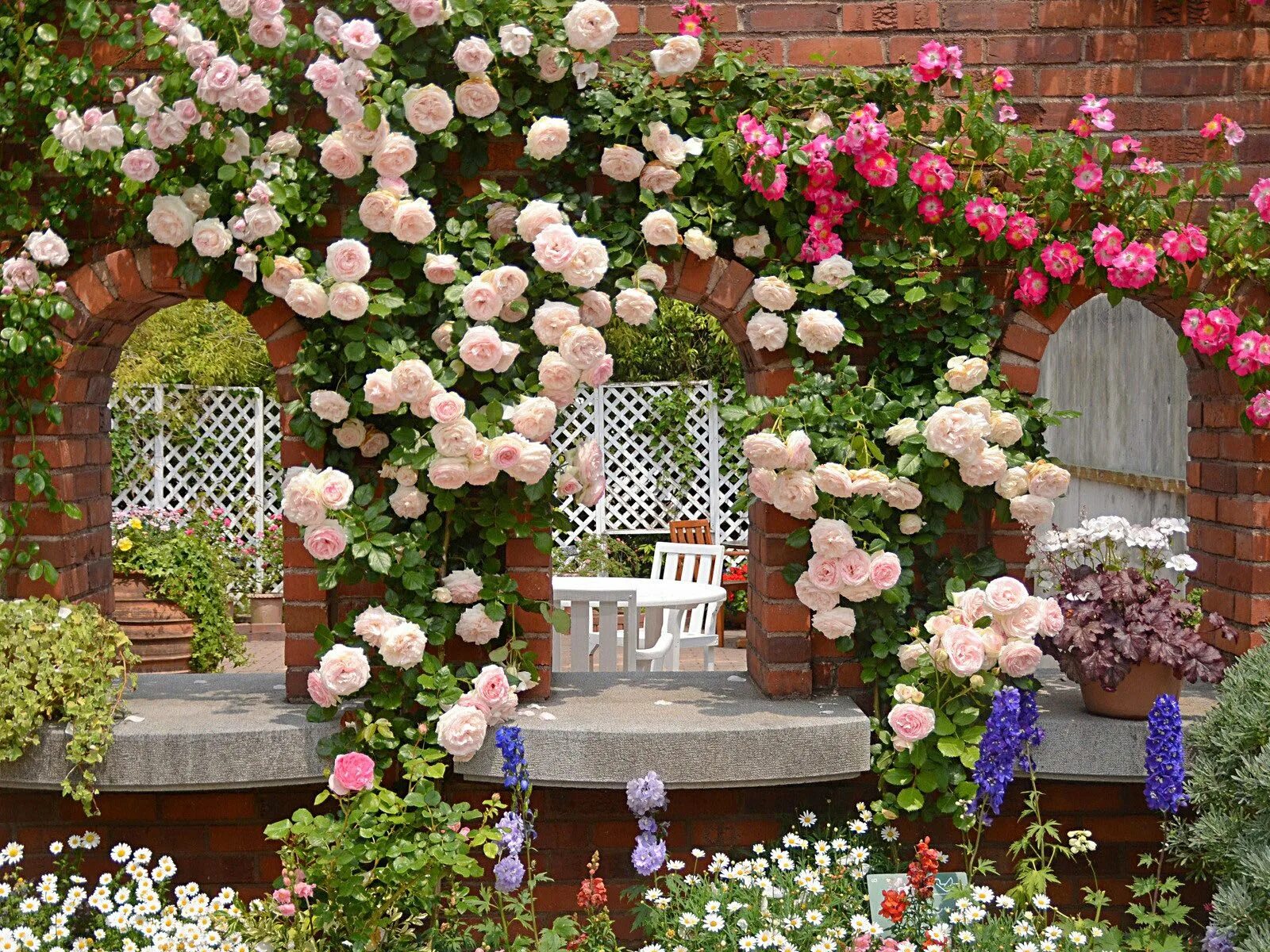 Плетущие розы в ландшафтном дизайне фото Gepind van kepguru Growing roses, Garden pictures, Beautiful gardens