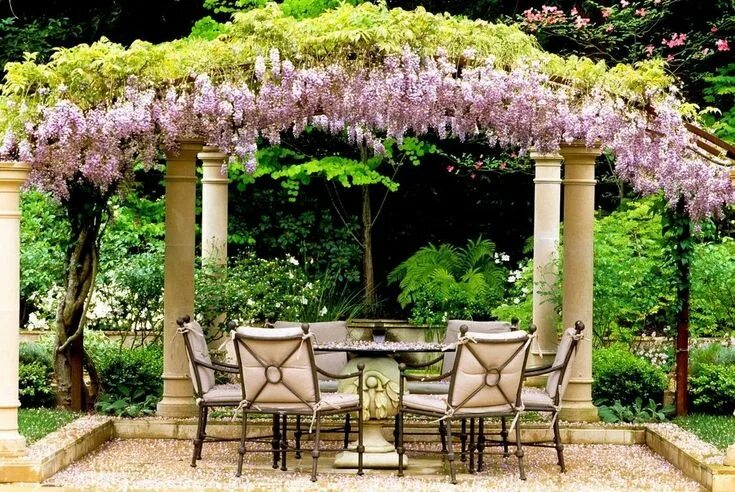 Плетущиеся цветы для беседки фото Za vroče, poletne dni je vrtna pergola prava rešitev Pergola, Jardines, Pérgolas