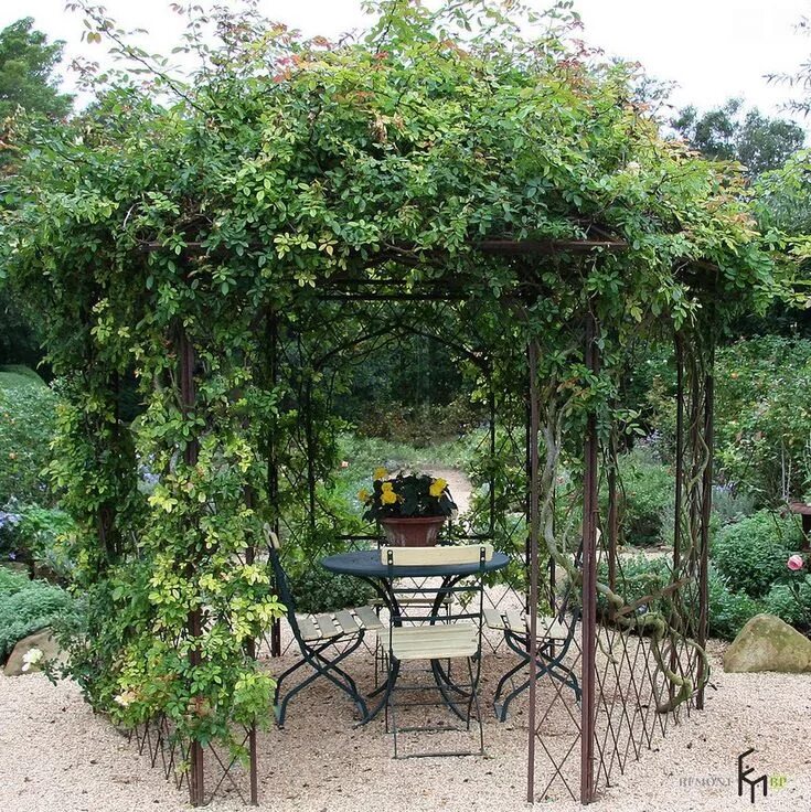Плетущиеся цветы для беседки фото Плетеная красота вьющихся растений Hintergarten, Landschaftsdesign, Gartendesign